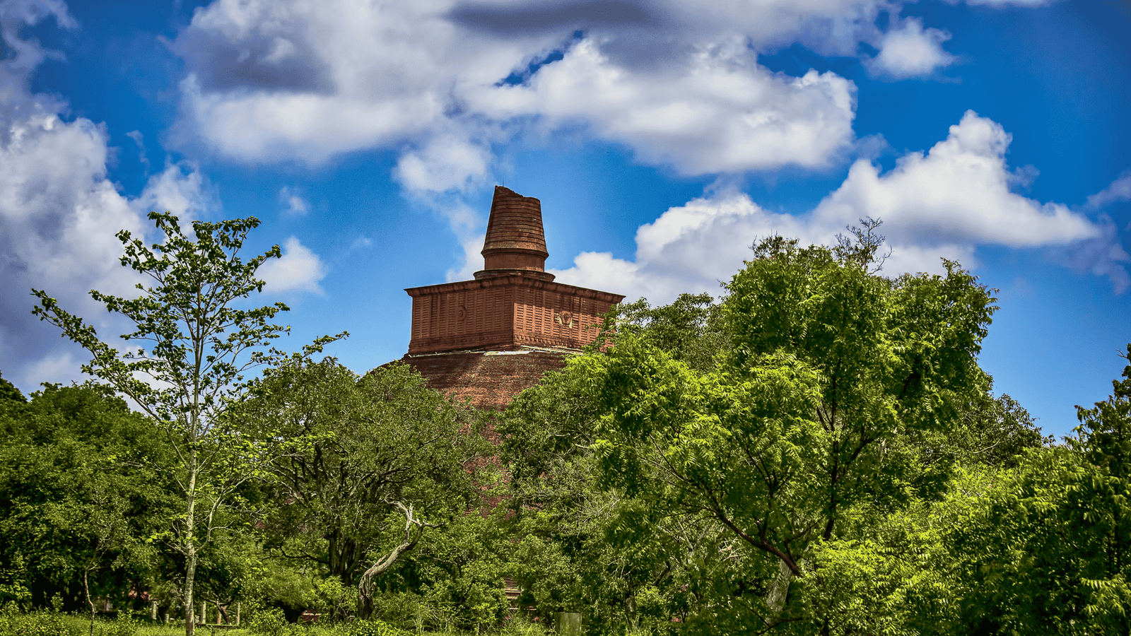 Untitled design - 2025-10-17T130725.480