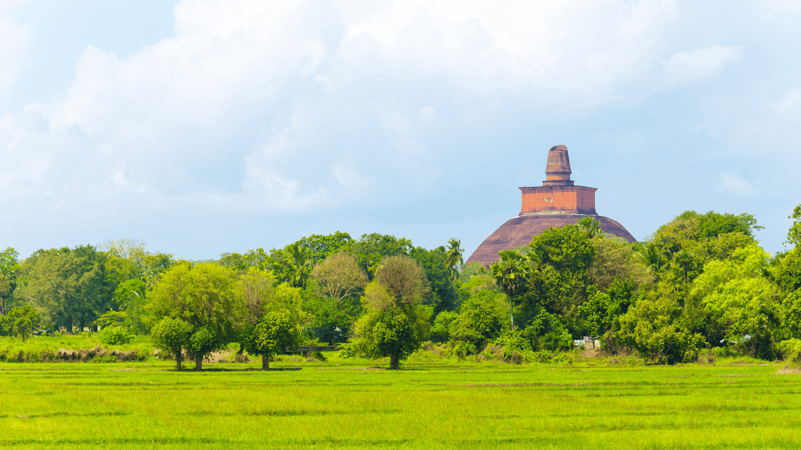 Untitled design - 2025-10-17T130959.518