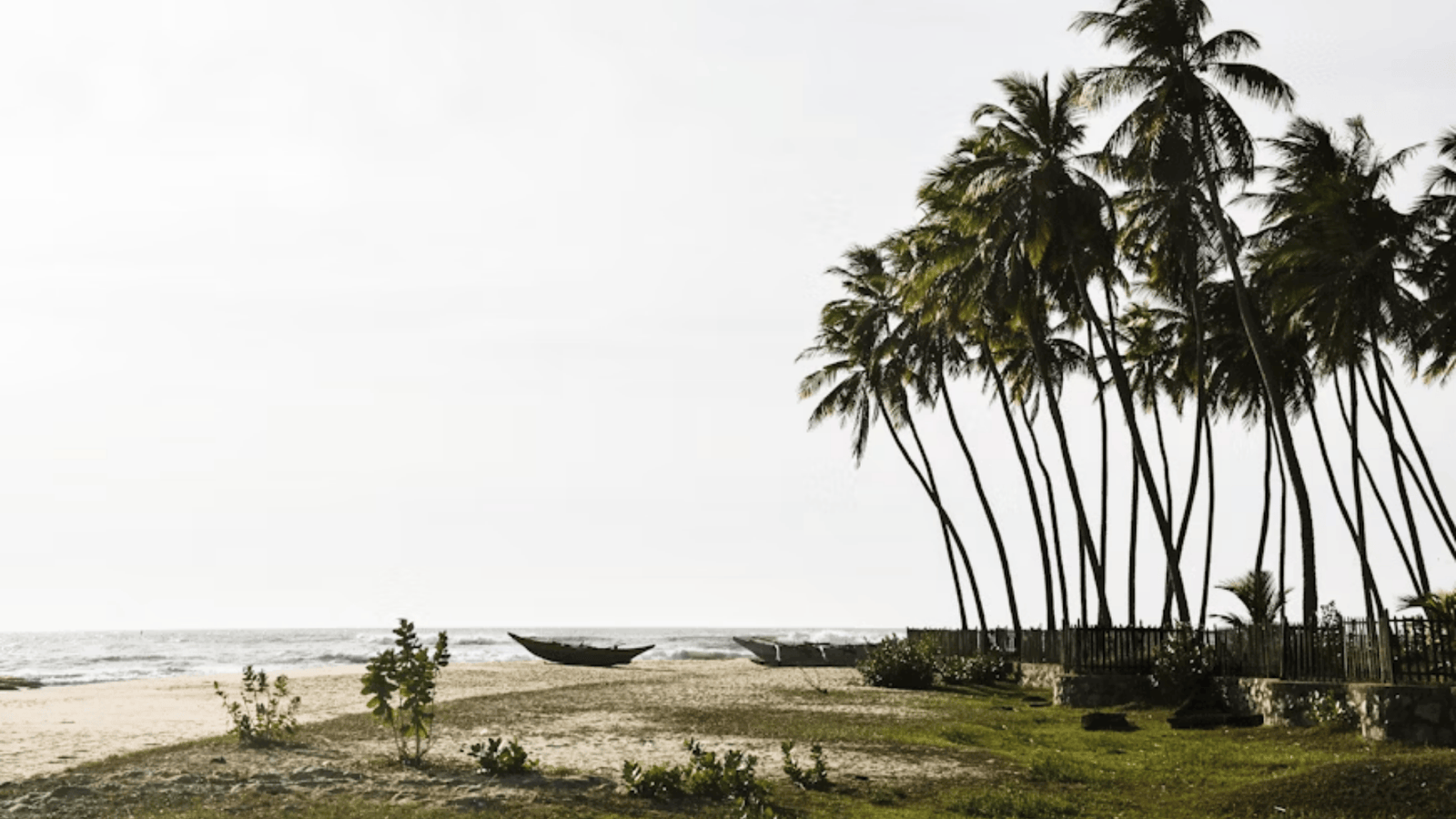 Untitled design - 2025-10-20T090307.612