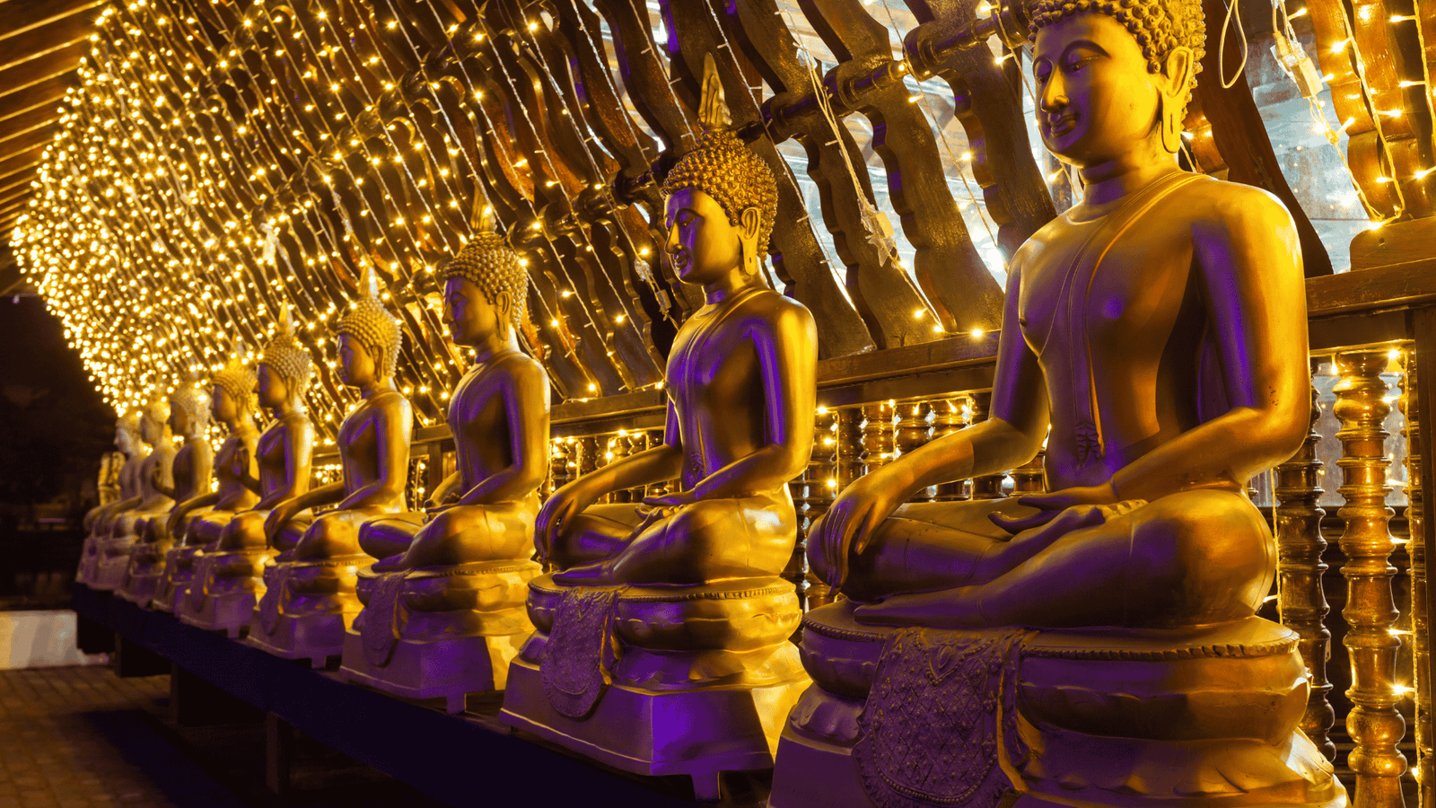 Untitled design - 2025-10-22T125244.715